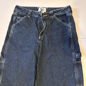 BDG Women Size 27W 32L Stripe Carpenter pant Blue White Jean Denim